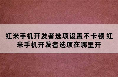 红米手机开发者选项设置不卡顿 红米手机开发者选项在哪里开